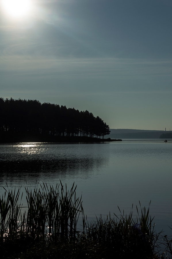 photo "***" tags: landscape, nature, forest, summer, water