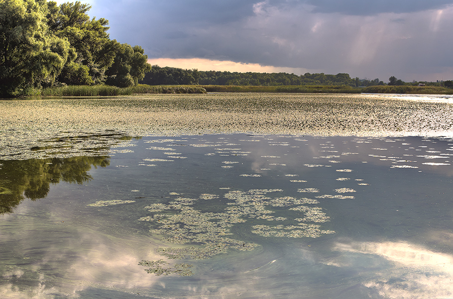 photo "***" tags: landscape, Dnieper, Ukraine, clouds, coast, gulf, sky, summer, Запорожье