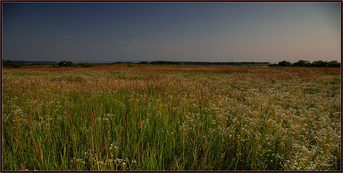 photo "***" tags: landscape, summer, Вечерние прогулки