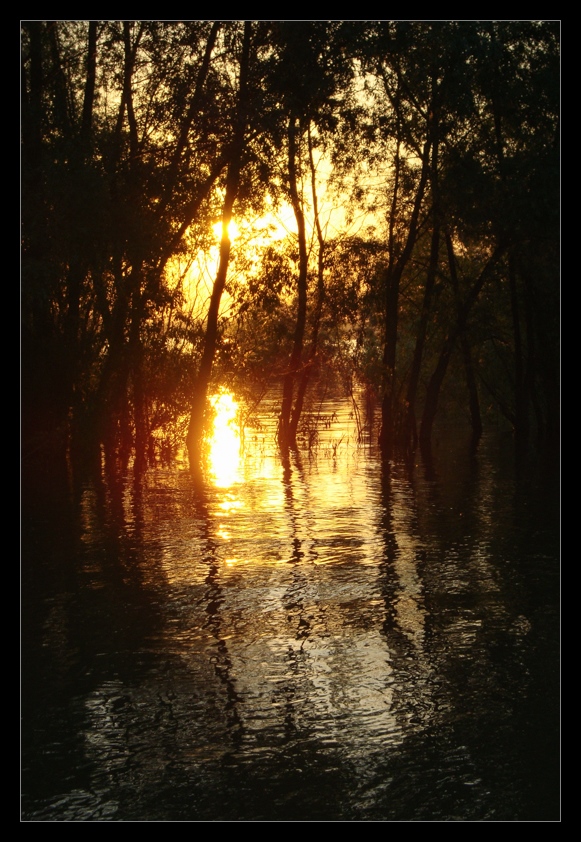 photo "Orange sunset" tags: landscape, sunset, water