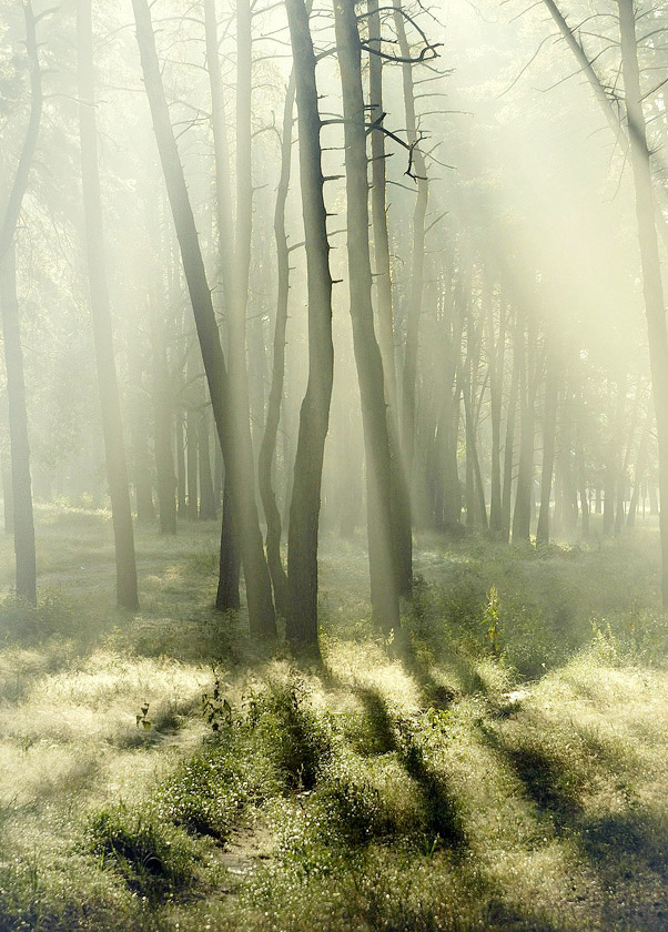 photo "Wigwam" tags: nature, landscape, 