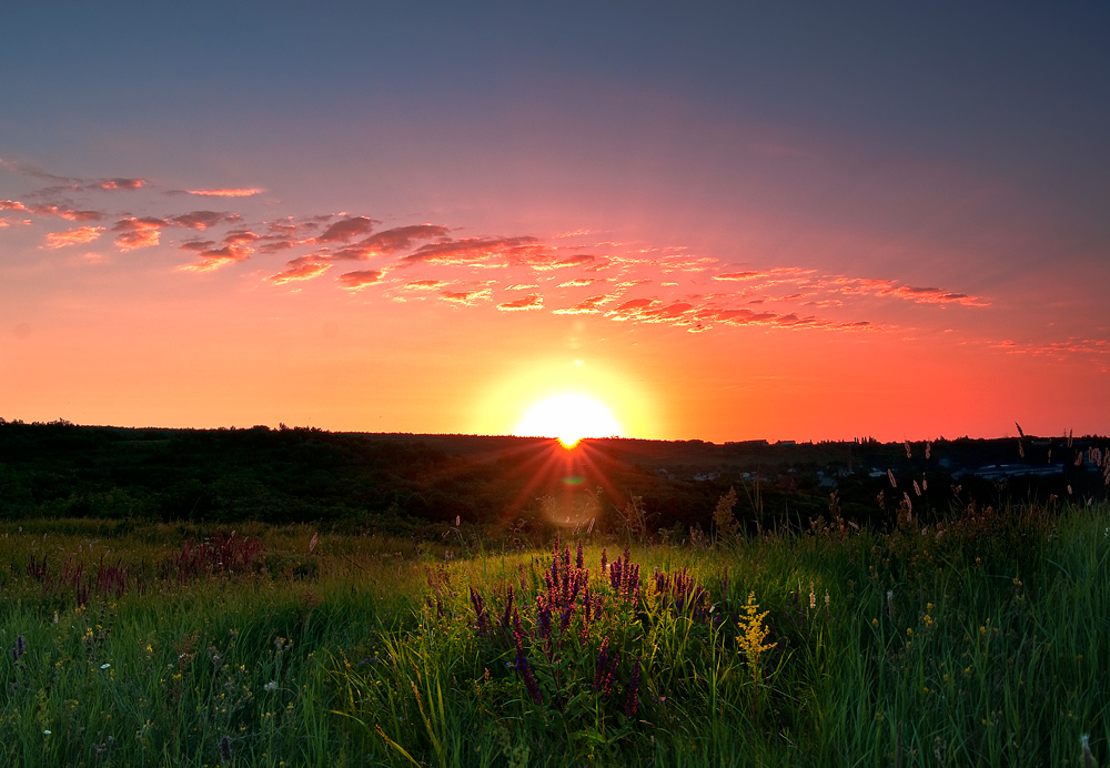 photo "Ode to Joy" tags: landscape, 