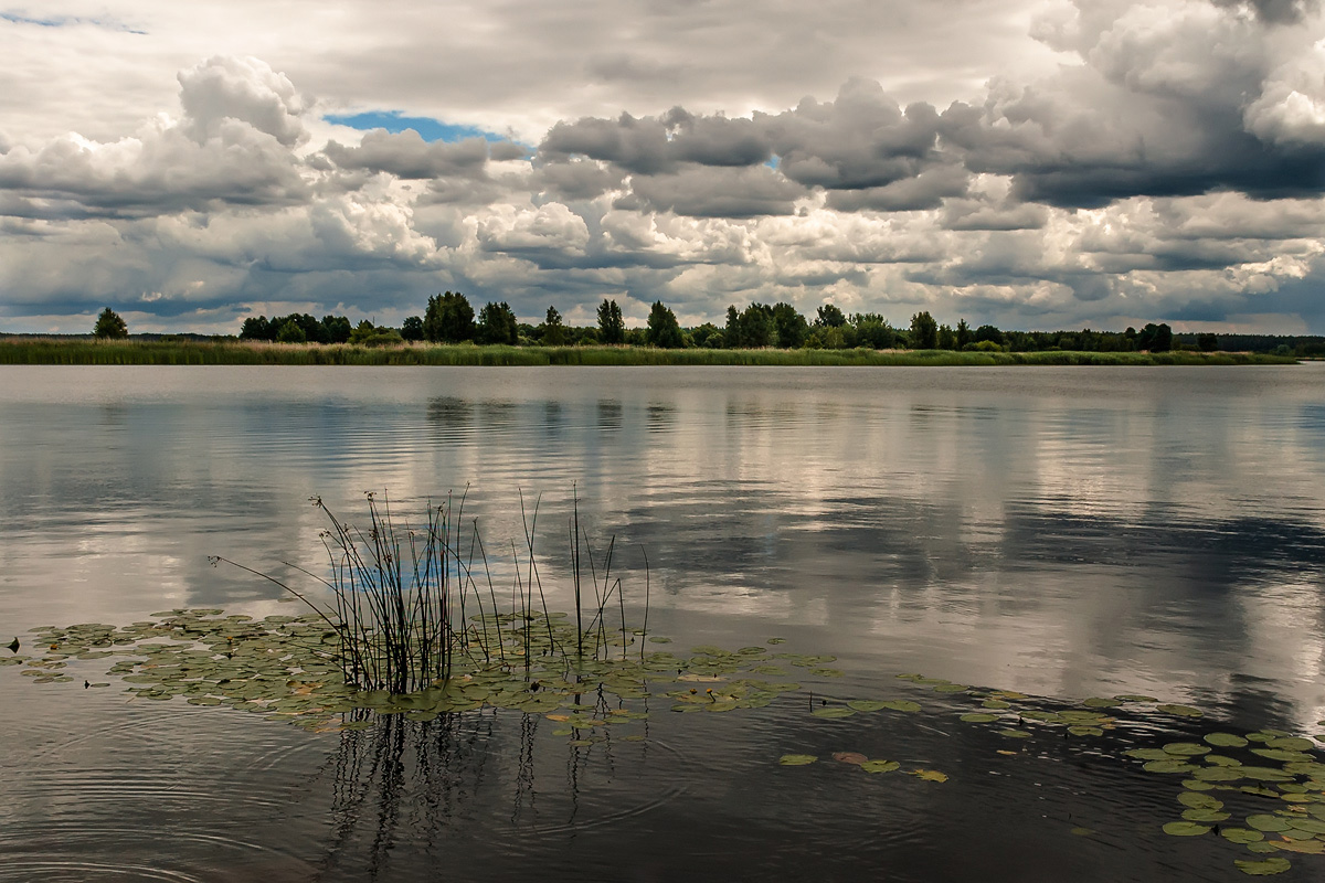 фото "***" метки: природа, вода, лето, облака, отражения