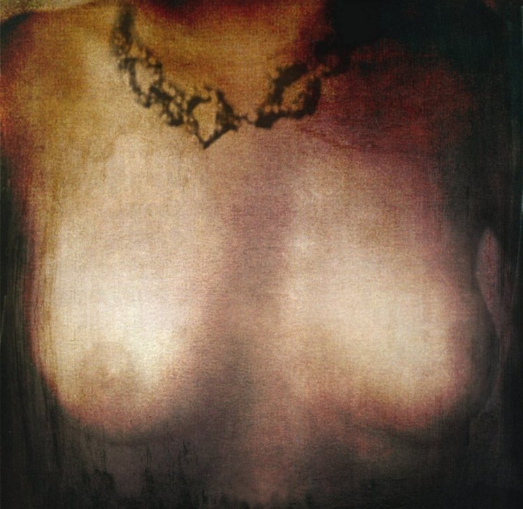 photo "ornement" tags: nude, digital art, Art, artistic, body, digital, fine art, nudes, photomanipulation, surrealist, woman