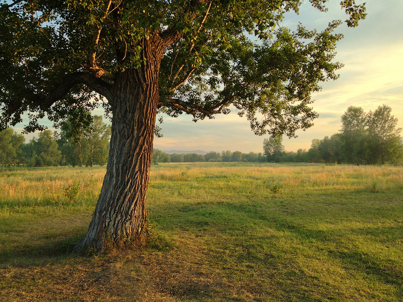 photo "***" tags: landscape, nature, iPhone