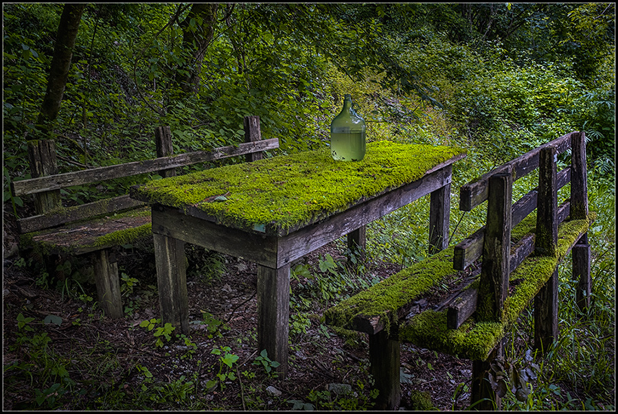 photo "The Green Bar" tags: humor, 