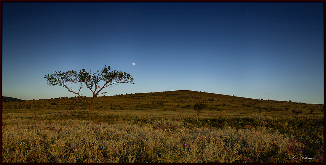 photo "***" tags: landscape, night, summer