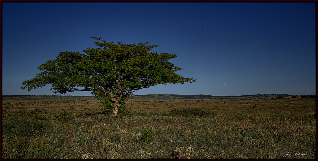 фото "***" метки: пейзаж, вечер..., лето