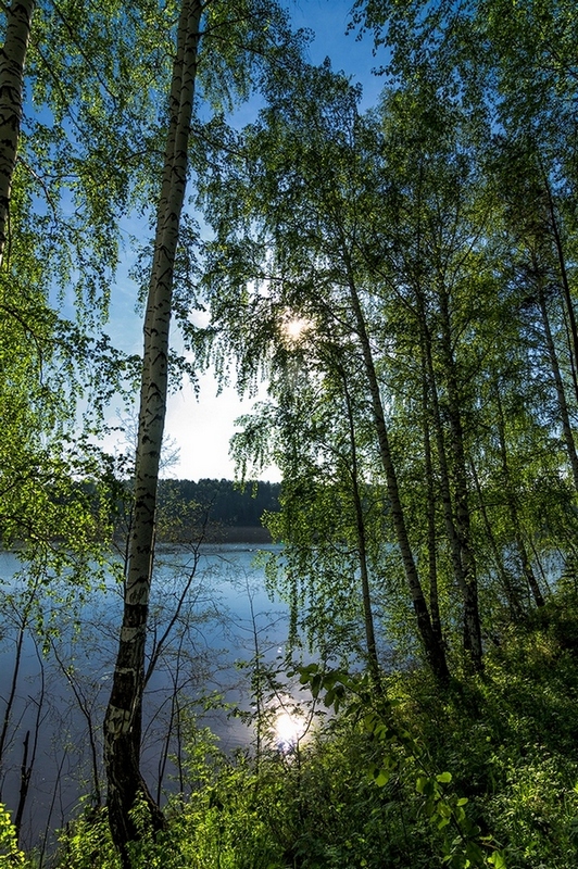 photo "***" tags: landscape, nature, 