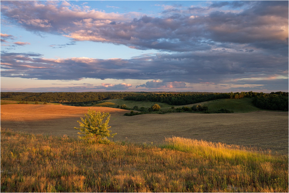 photo "***" tags: landscape, 