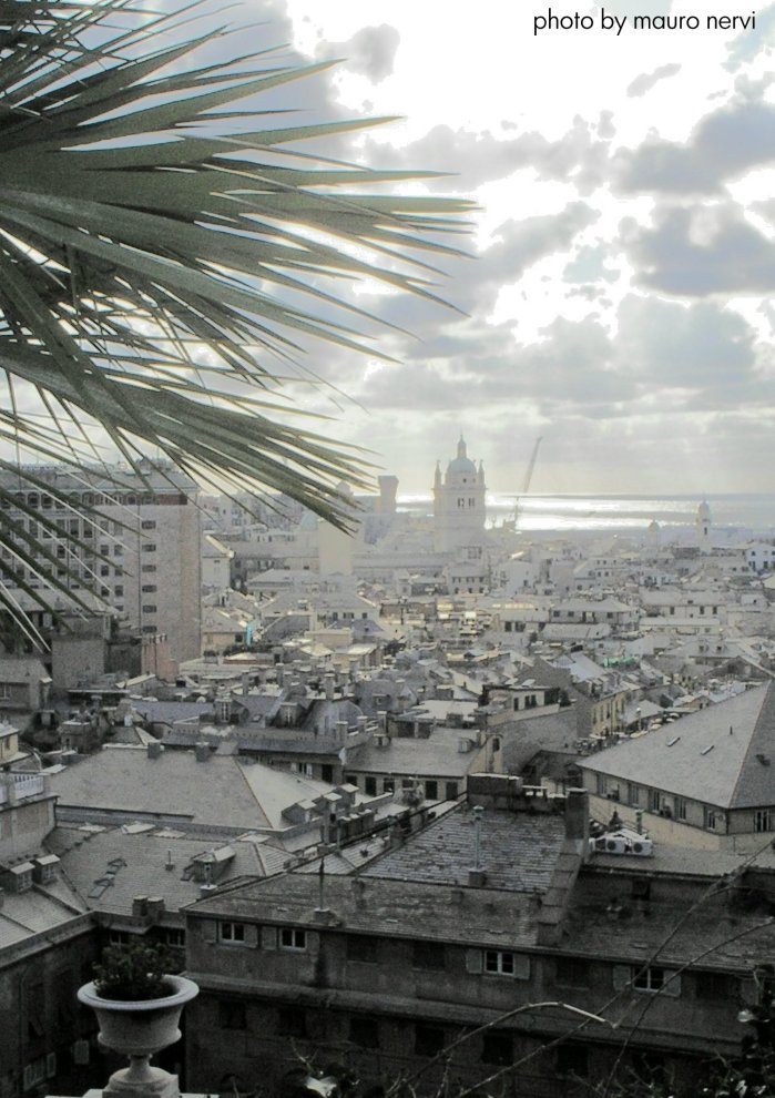 photo "roofs of Genoa" tags: landscape, 