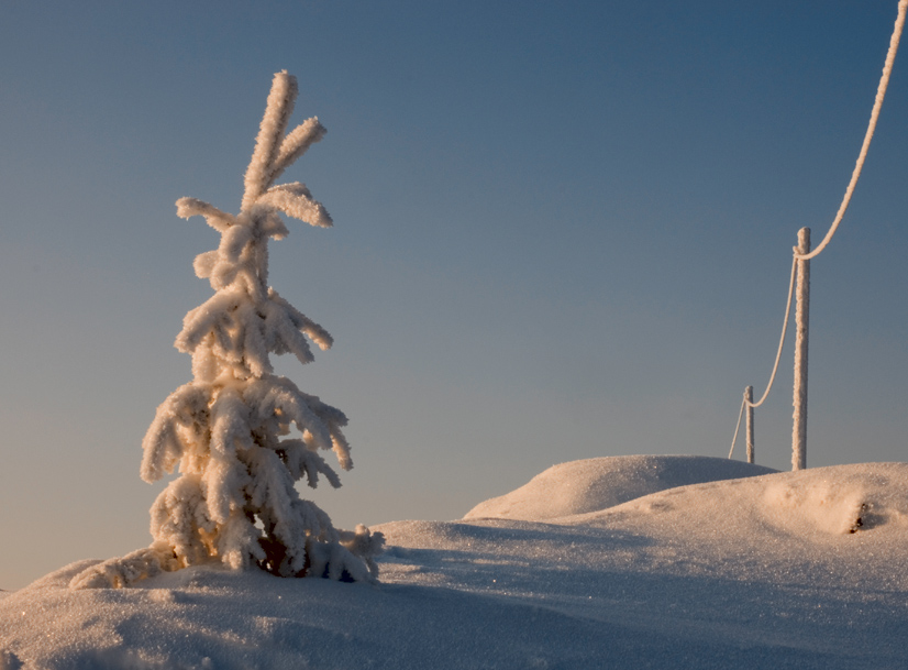 photo "Lonely" tags: landscape, 