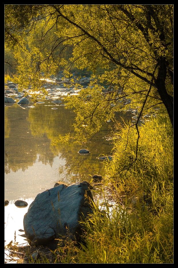 photo "Evening at river" tags: landscape, forest, river, листья