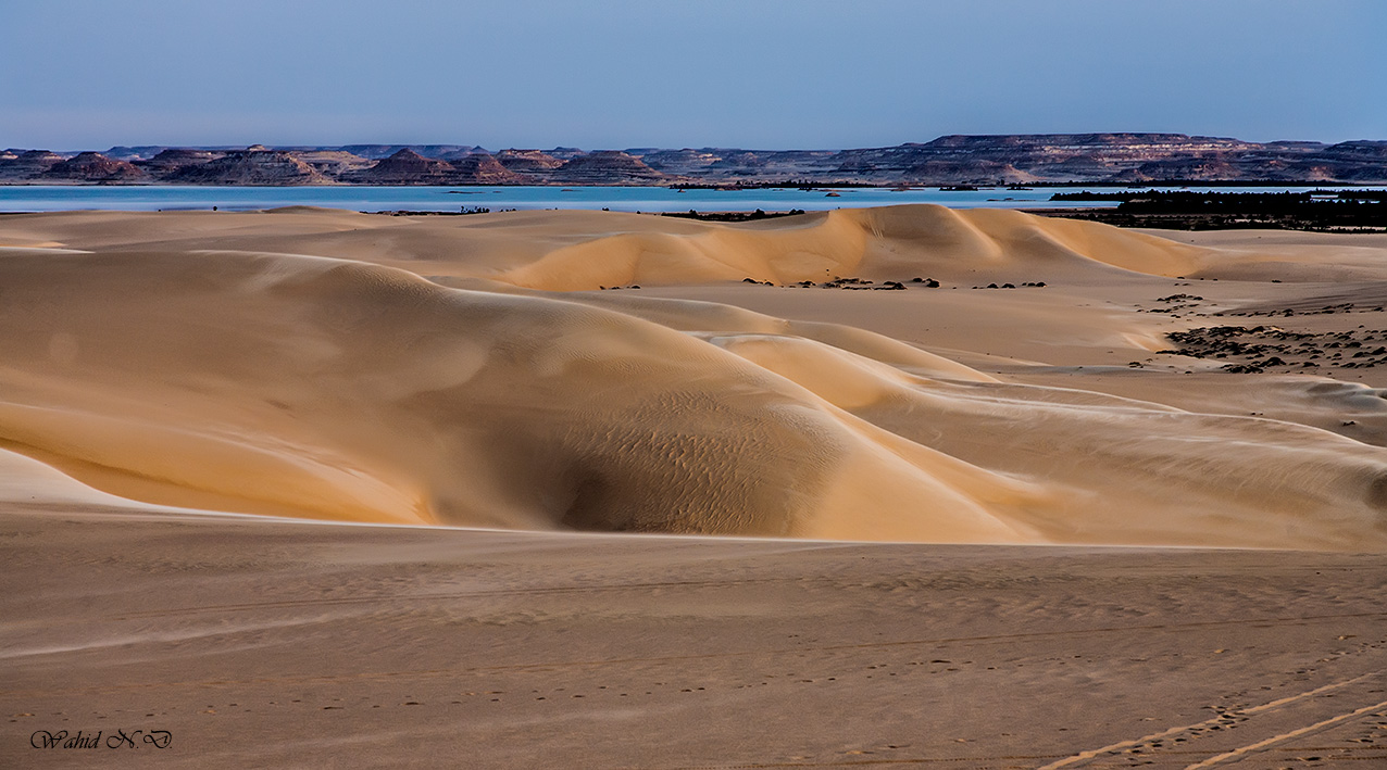 фото "Rare Desert Scene." метки: пейзаж, путешествия, desert, Африка, вода