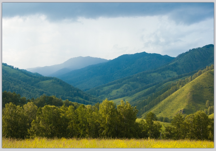 photo "***" tags: landscape, forest, mountains, summer