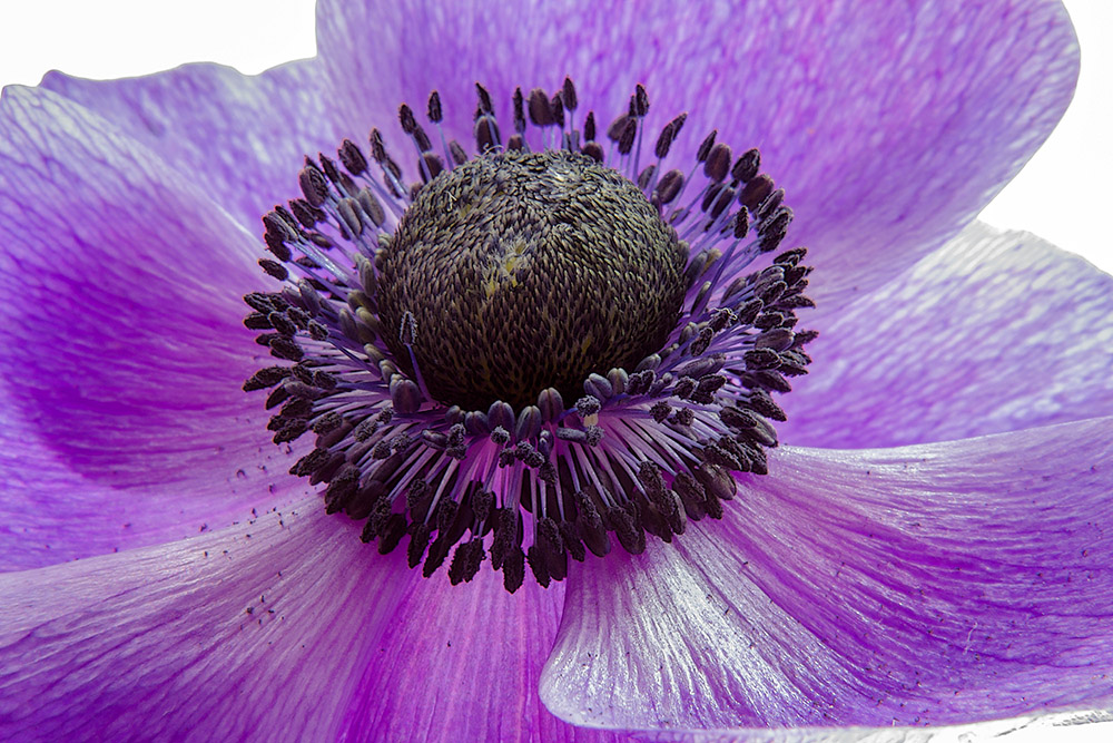 photo "***" tags: , 