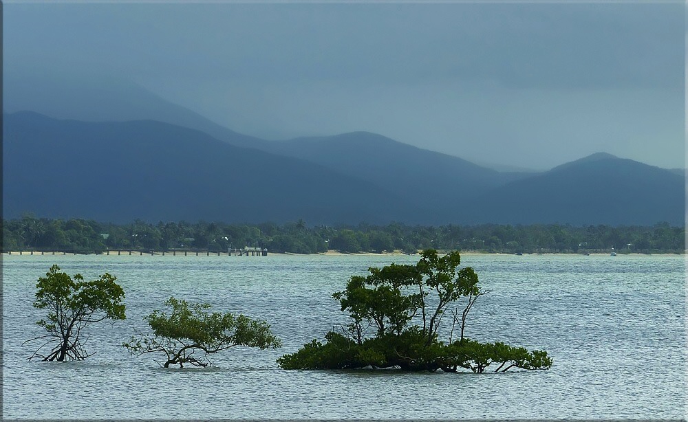 photo "Cardwell" tags: landscape, 