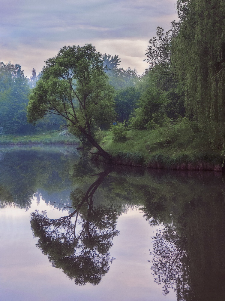 фото "Свет мой зеркальце, скажи..." метки: пейзаж, природа, вода, дерево, небо, отражение, утро