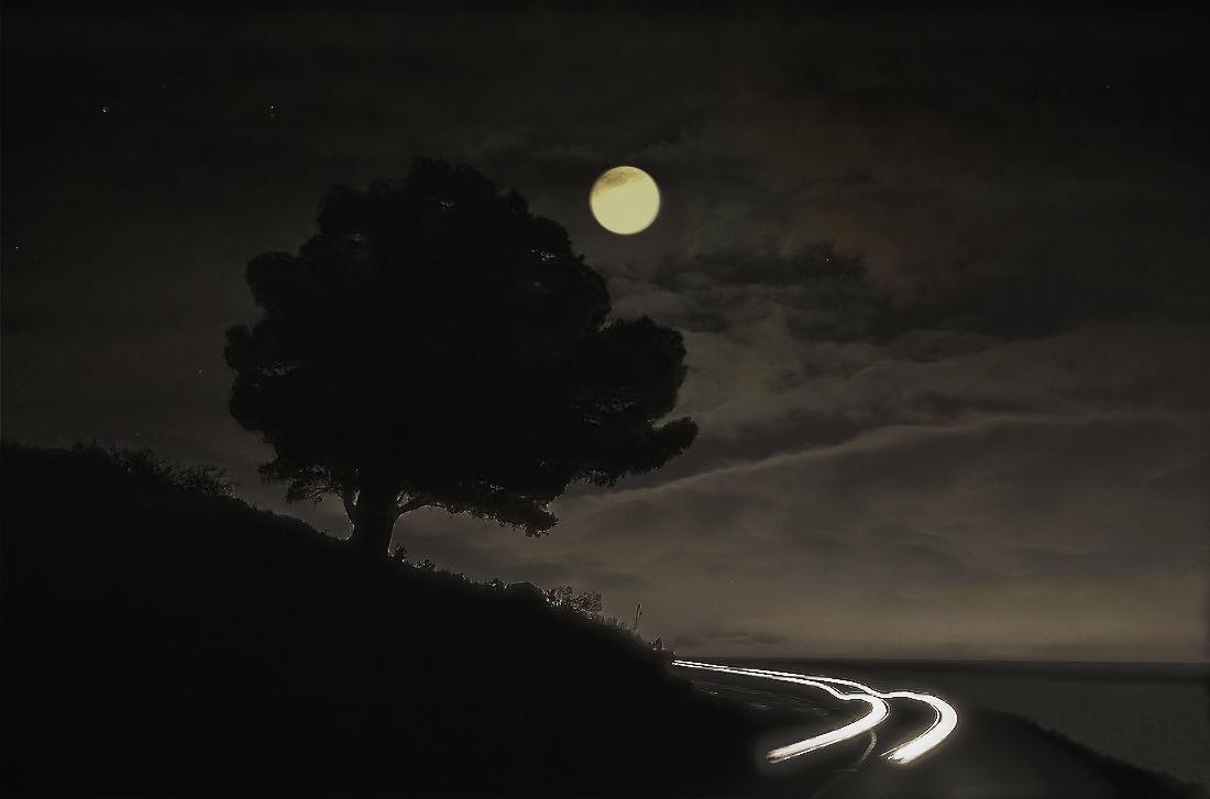 photo "At night ..." tags: digital art, montage, Moon, light, night, sky, tree