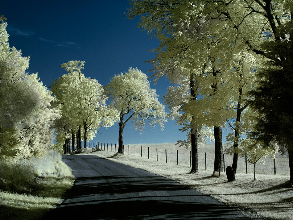 фото "***" метки: , 