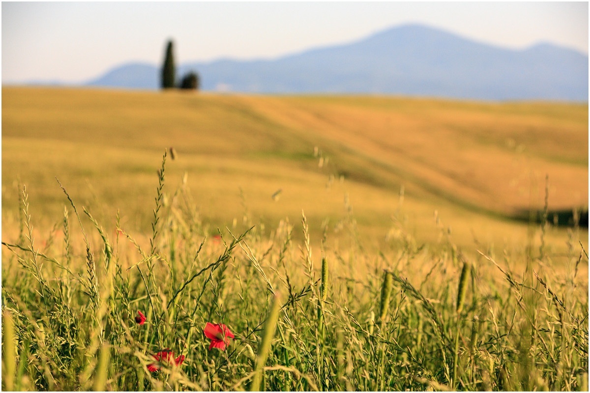 photo "***" tags: landscape, travel, nature, Europe, Italy, sunset