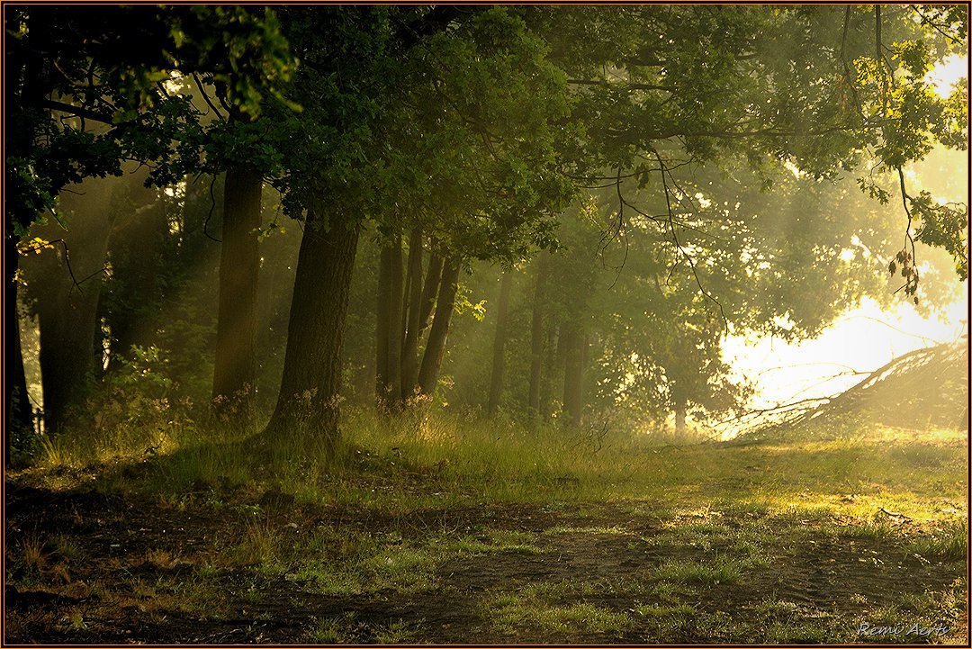 photo "***" tags: landscape, nature, 