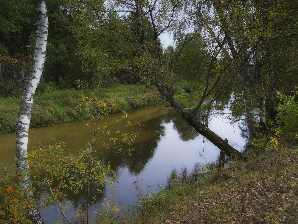 photo "***" tags: landscape, nature, 