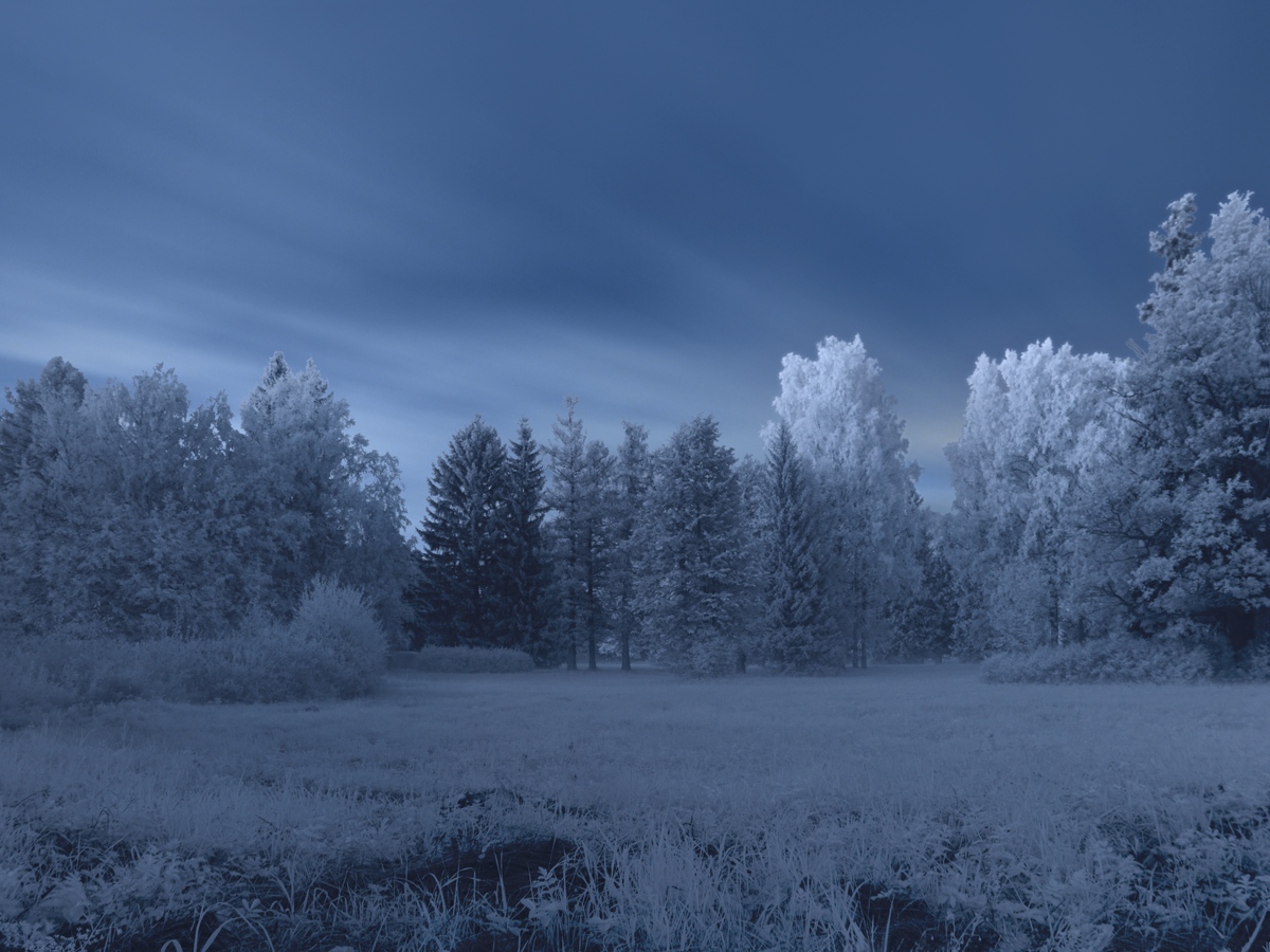 photo "***" tags: digital art, infrared, morning, park, summer, sunrise, длинная выдержка, дымка, сюрреализм