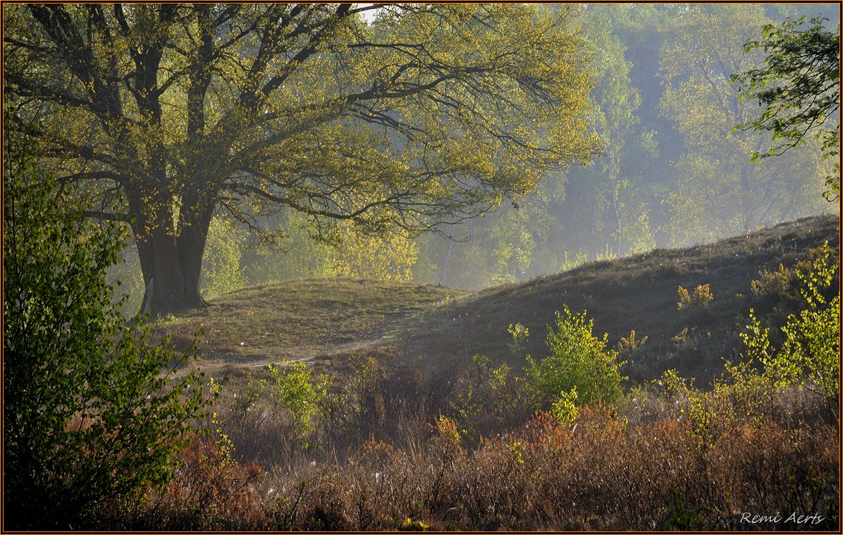 photo "***" tags: landscape, nature, spring