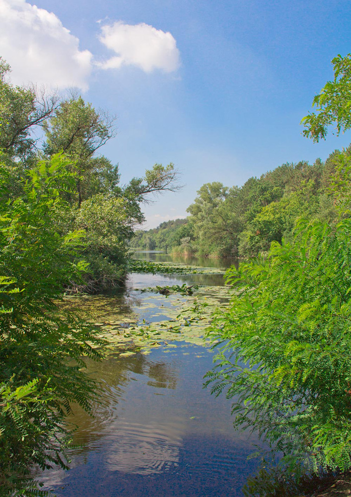 photo "Summer mood" tags: landscape, nature, вода облака лето