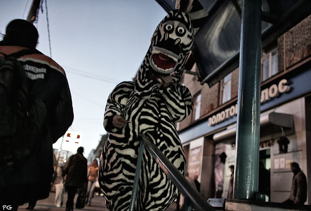 photo "***" tags: genre, street, subway, зебра