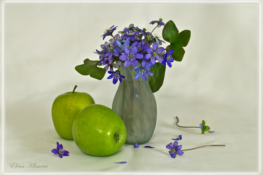 photo "***" tags: still life, flowers, букет, ваза, яблоки