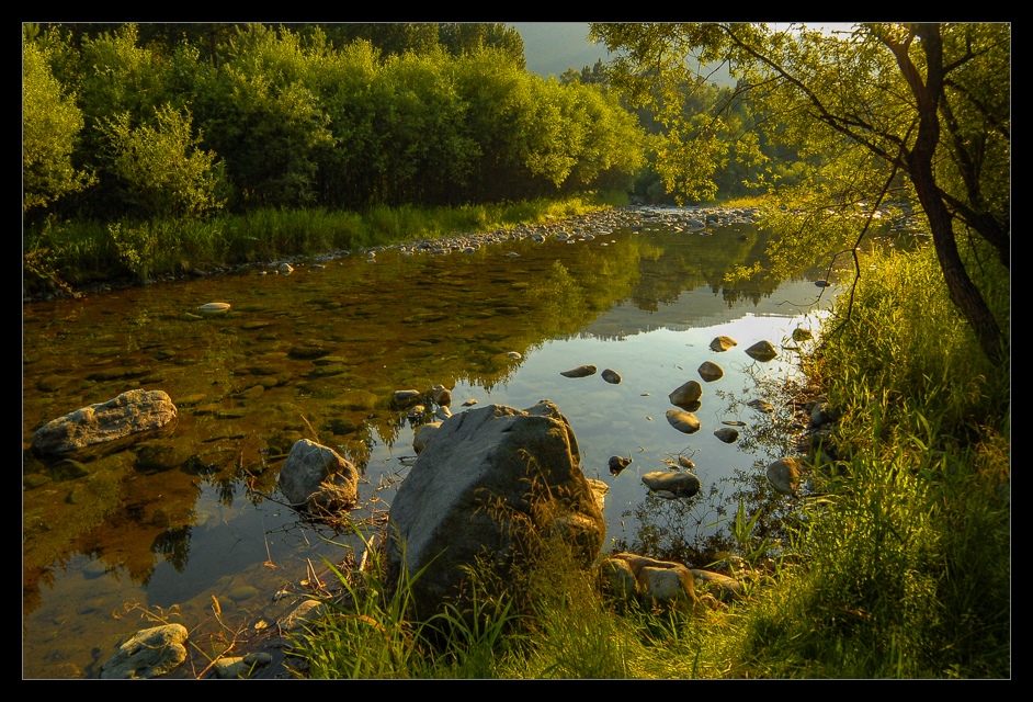 photo "Summer" tags: landscape, forest, summer, water