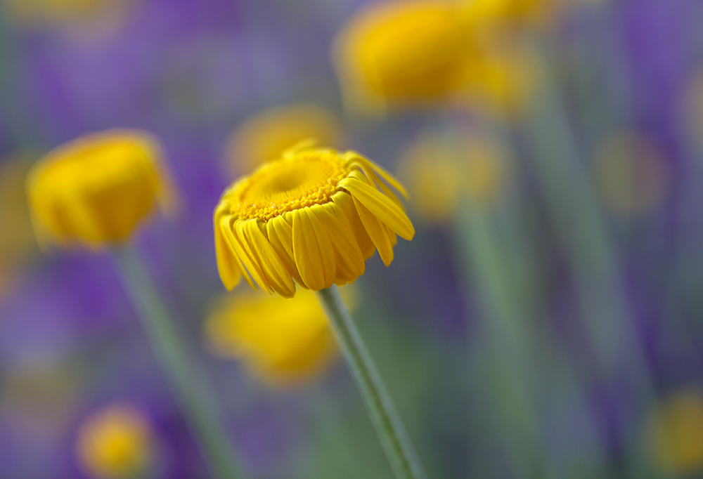 photo "***" tags: , 