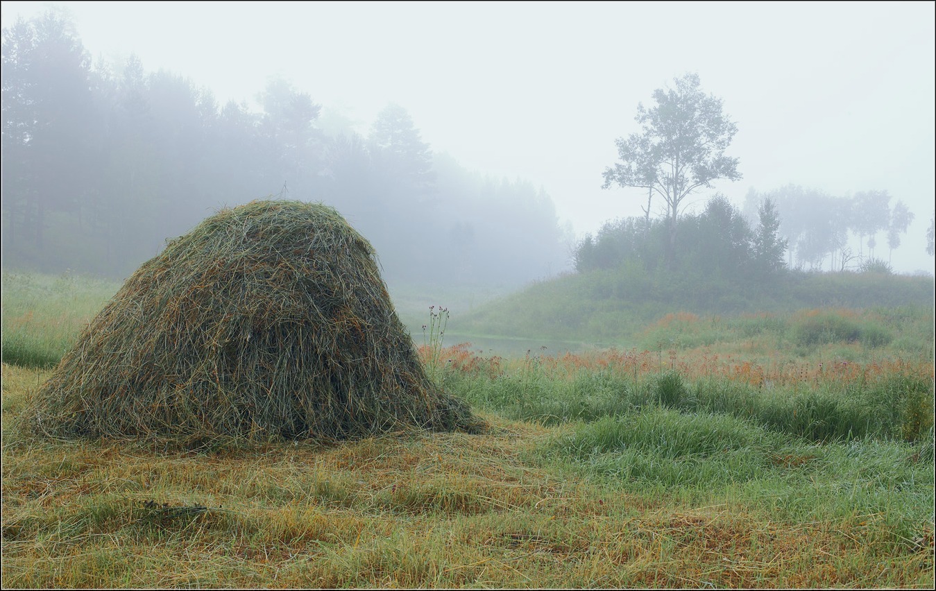 photo "***" tags: landscape, 