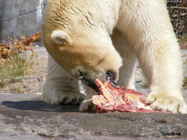 photo "Lunch time" tags: reporting, Europe