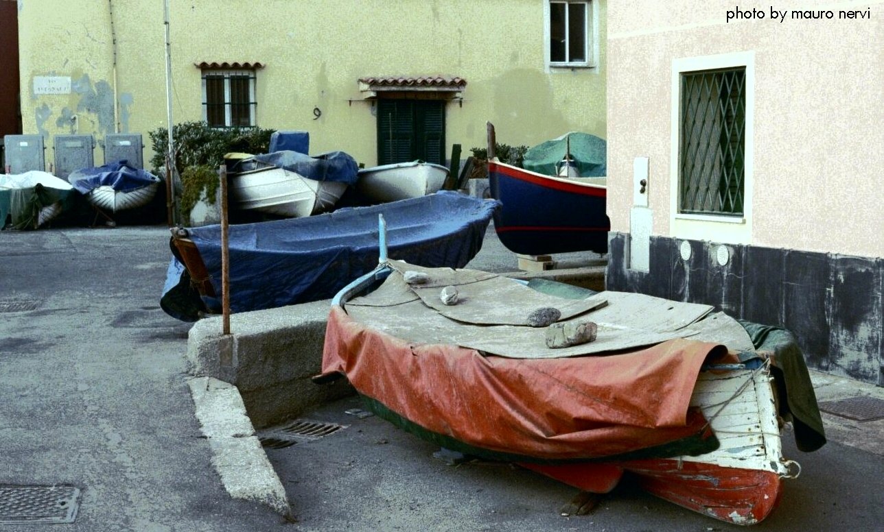 photo "boats" tags: reporting, 