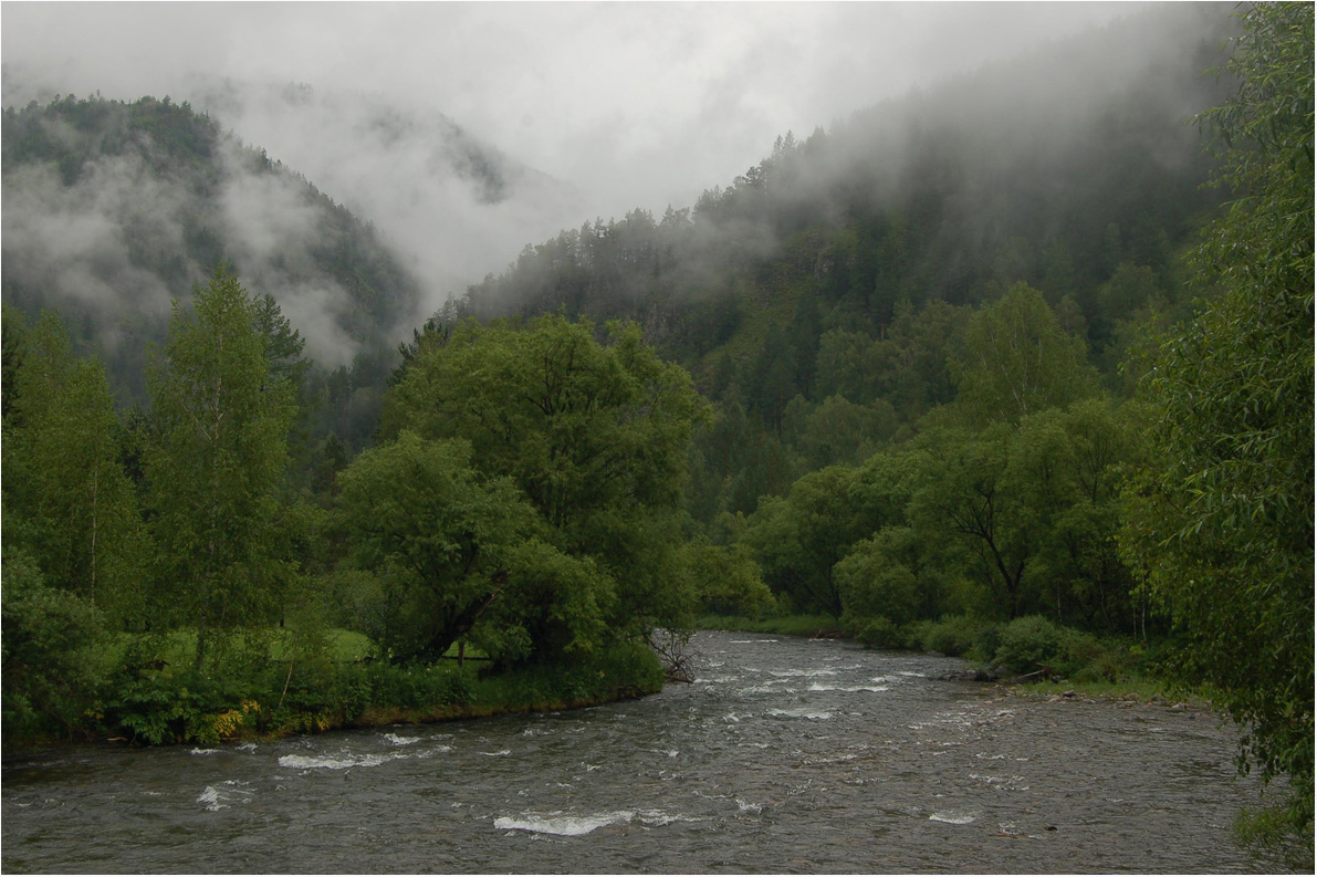 photo "***" tags: landscape, fog, forest, mountains, river, summer