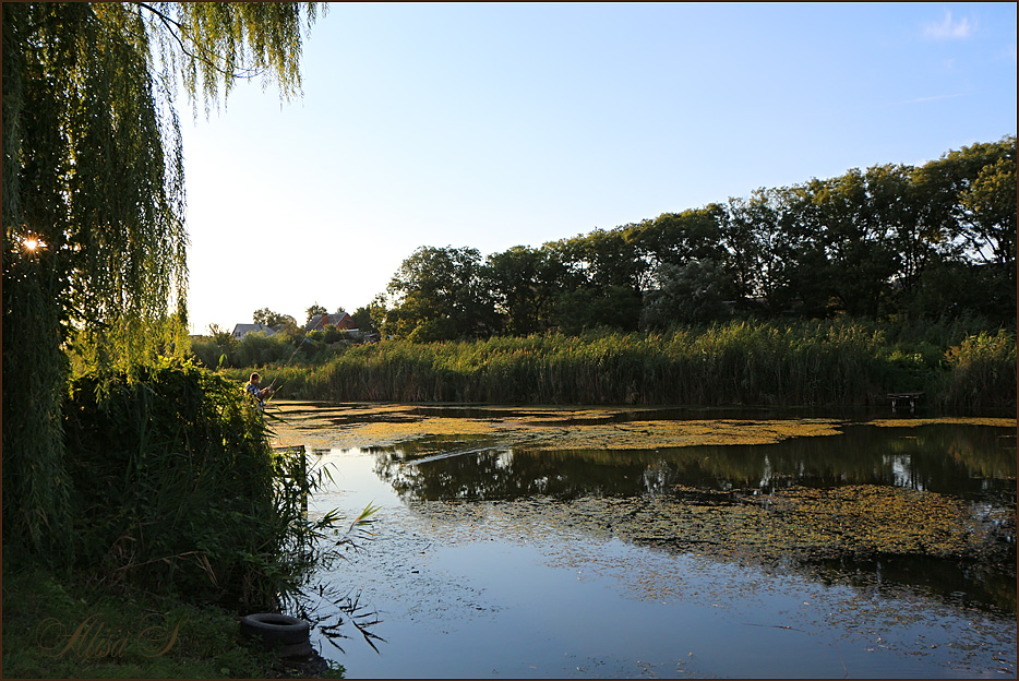 photo "***" tags: landscape, summer