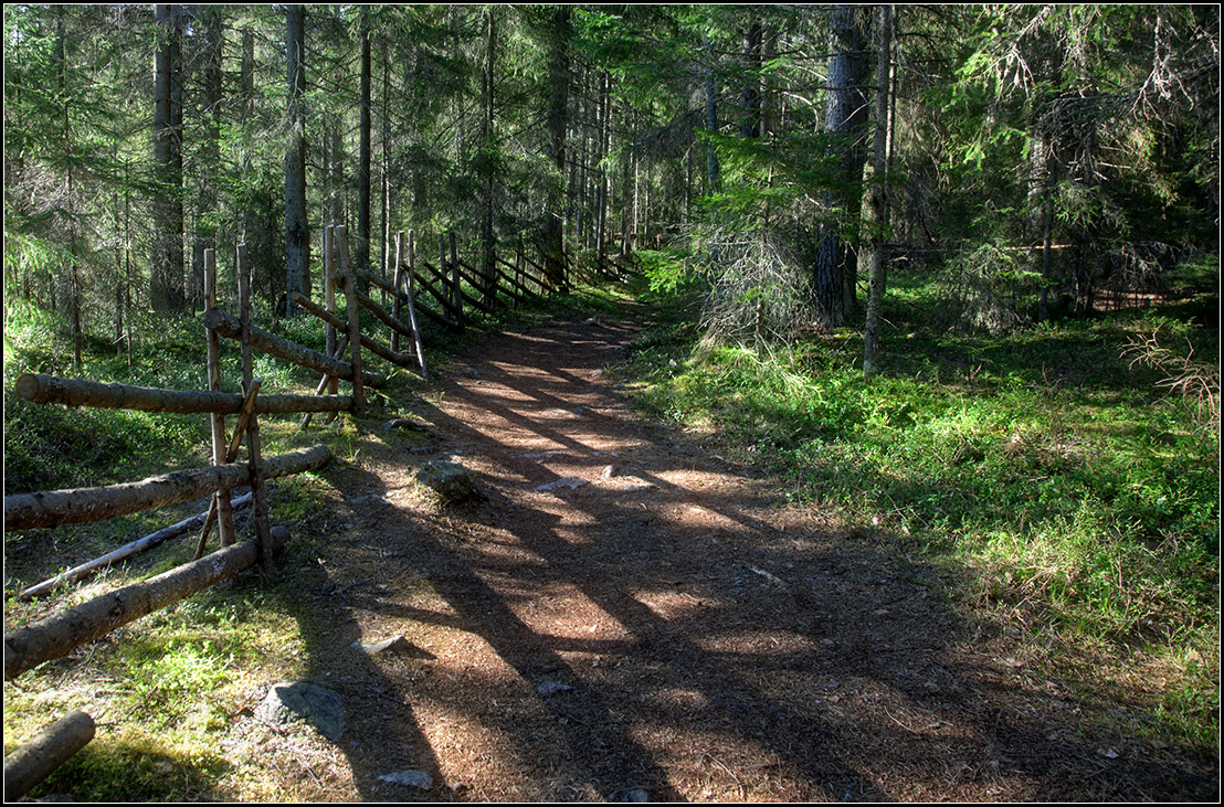 photo "Ladoga. Pellotsari's island" tags: landscape, nature, travel, island, lake, Ладожское, Пеллотсари, тропа, экологическая