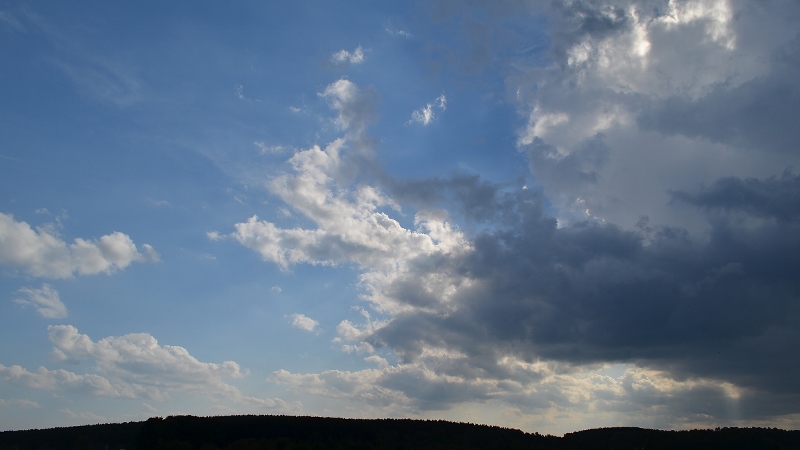 photo "***" tags: nature, 