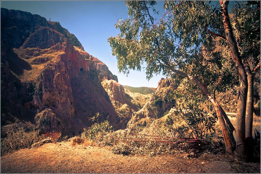 photo "Topolia Gorge. Crete." tags: travel, Crete, Topolia Gorge, Крит