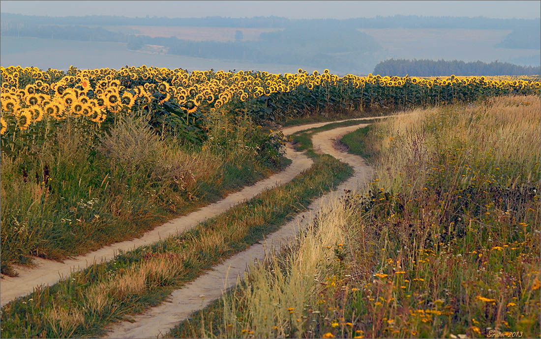 photo "On a country road" tags: landscape, 