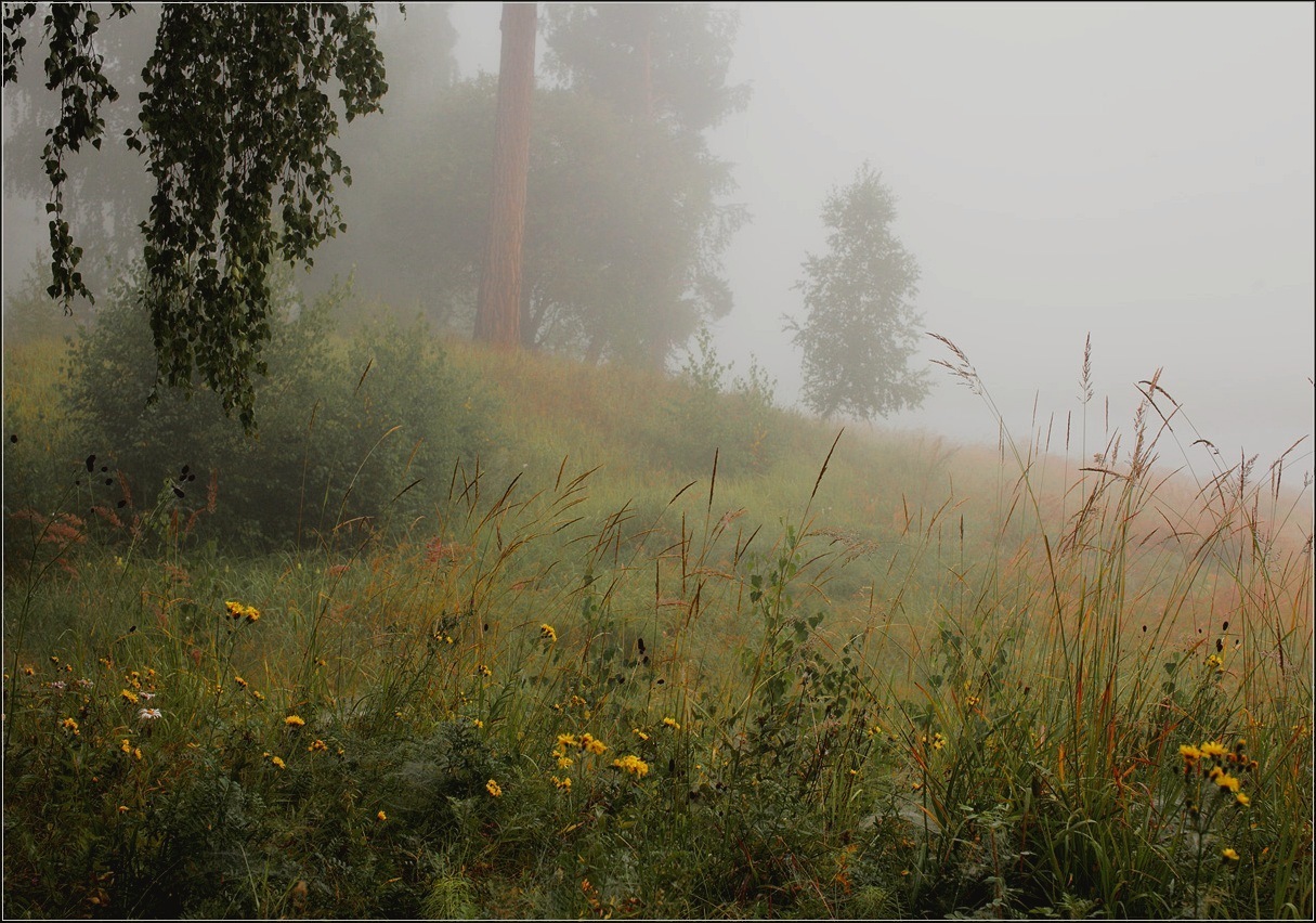 photo "***" tags: landscape, 