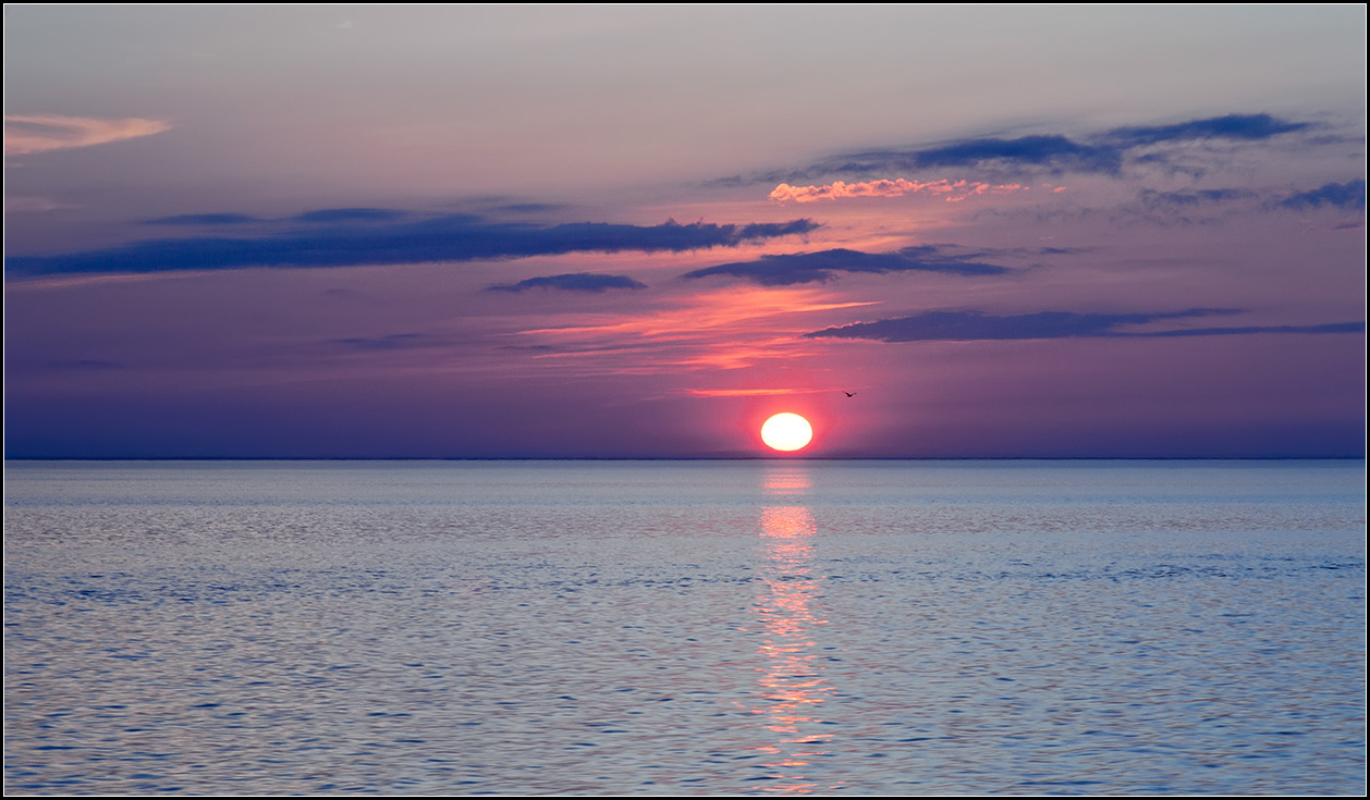 photo "at sunset" tags: nature, landscape, lake, Ладожское