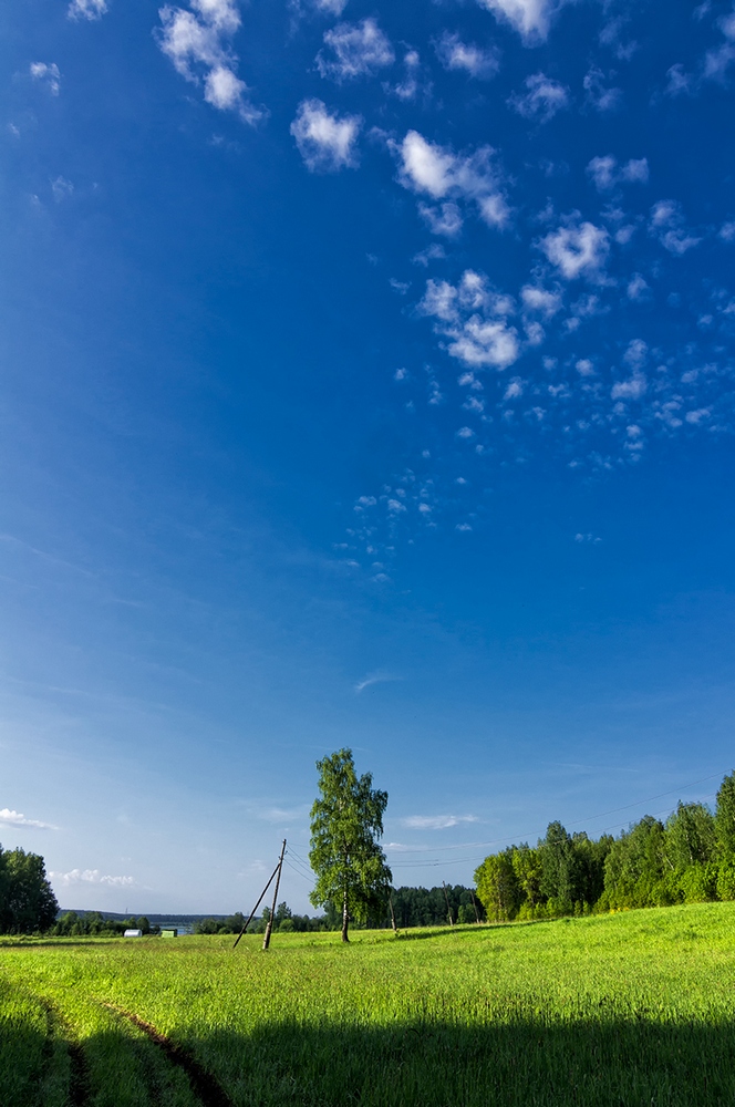 photo "***" tags: nature, clouds, forest, summer