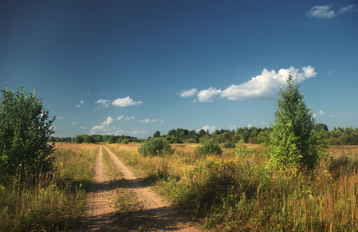 photo "Road like arrow" tags: landscape, nature, road, summer