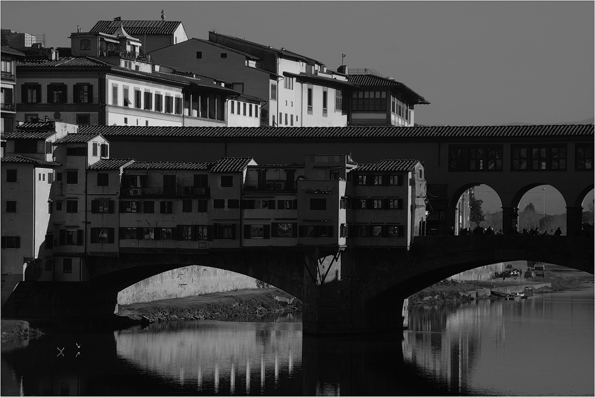 photo "The Bridge and two seagulls" tags: architecture, city, black&white, 