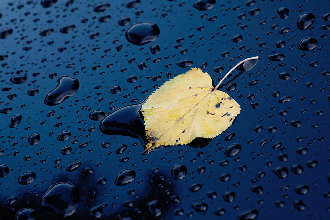 photo "***" tags: still life, 