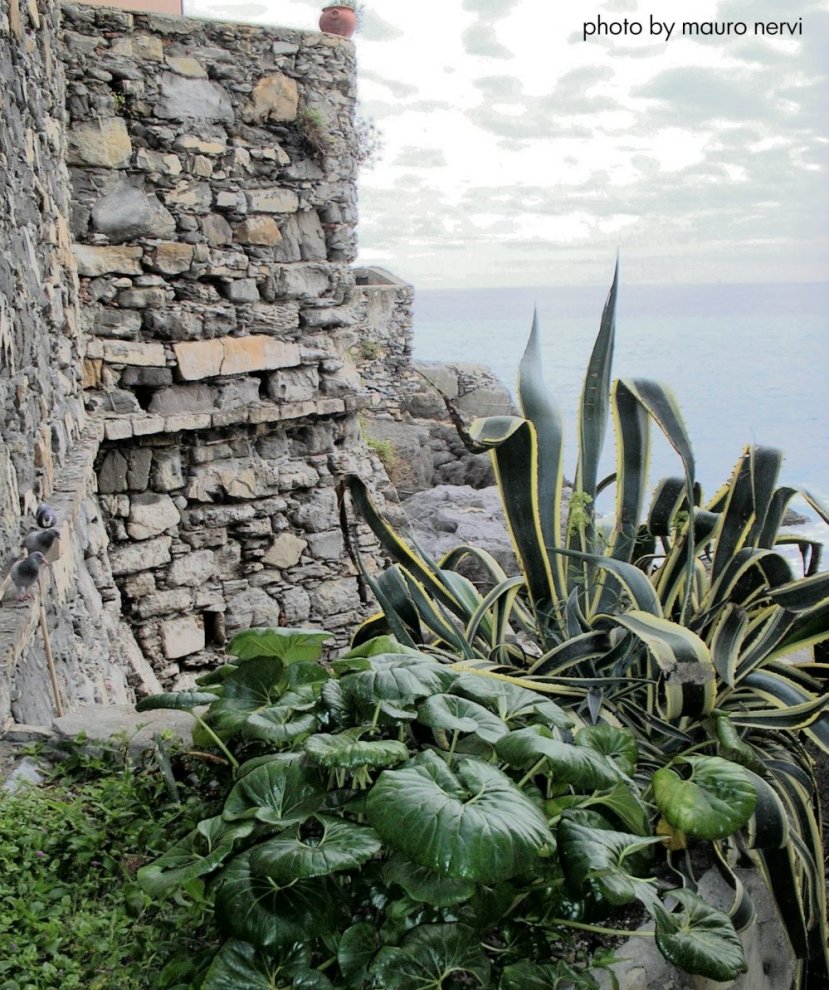 photo "a corner beside the sea" tags: landscape, 